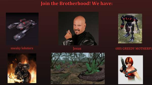 Would you join the Brotherhood?